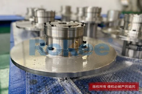 WGP Brake Disc Coupling