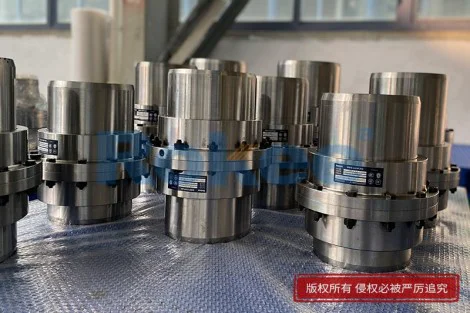 GIICL10 Toothed Coupling
